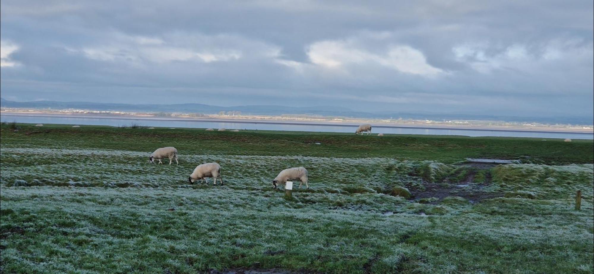 Port Carlisle Caravan Near Bowness On Solway كارلايل المظهر الخارجي الصورة